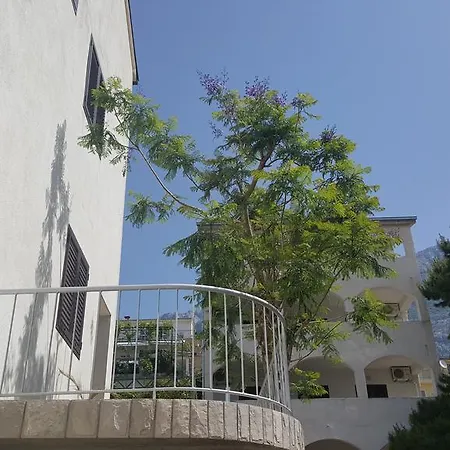 Mate Makarska